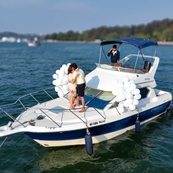 Bayliner Discovery 288 Yacht in Goa